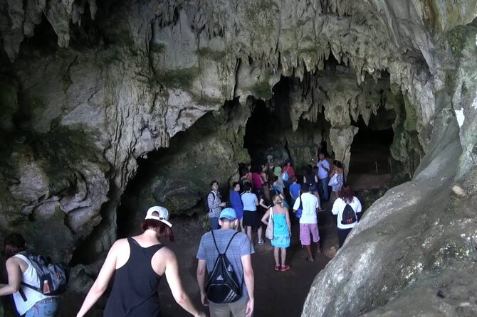 10-Hour Guided Tour of Samana and Bacardi Island Los Haitises - Why Los Haitises makes this day special