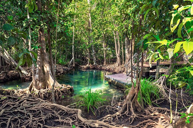10-Hour Guided Tour of Samana and Bacardi Island Los Haitises - What the $130 price includes