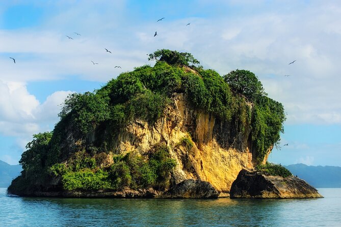 10-Hour Guided Tour of Samana and Bacardi Island Los Haitises - A note about the whale-watching comments