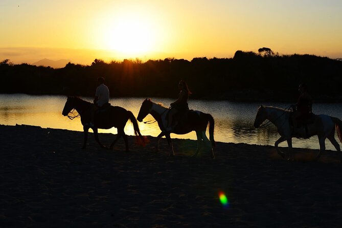 2-Hour Horseback Riding Tour at Sunset from Punta Cana - Key points to know before booking