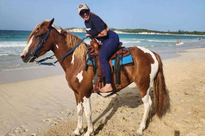 2-Hour Horseback Riding Tour at Sunset from Punta Cana - What the $77.95 price includes in value