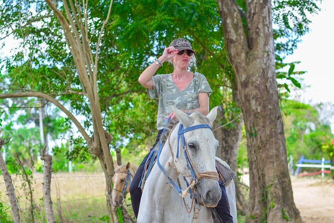 2-hour sunset horseback ride from Punta Cana - Pickup, weather, and cancellation details
