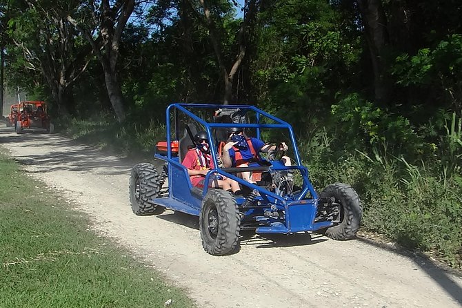2 Person Buggy Tour - Sugar cane fields, village roads, and rough tracks