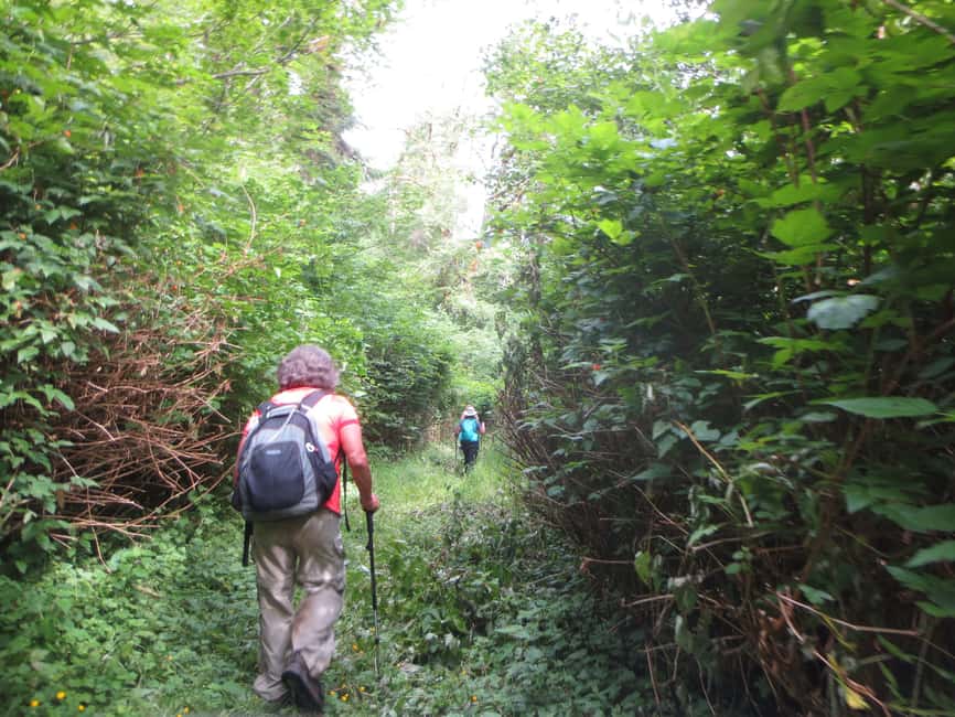 27 Waterfalls Tour with Entrance Fee & Lunch - Local guides make the difference