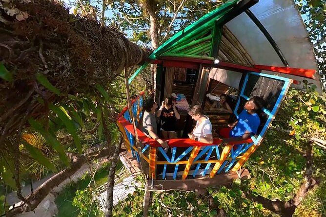 2in1: Los Haitises National Park + Yanigua Waterfall-SPA - Why this two-stop day works