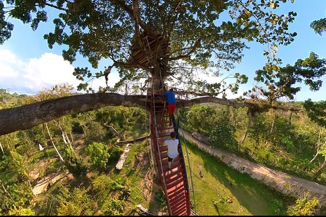 2in1: Los Haitises National Park + Yanigua Waterfall-SPA - Sabana de la Mar and the rural side of the trip