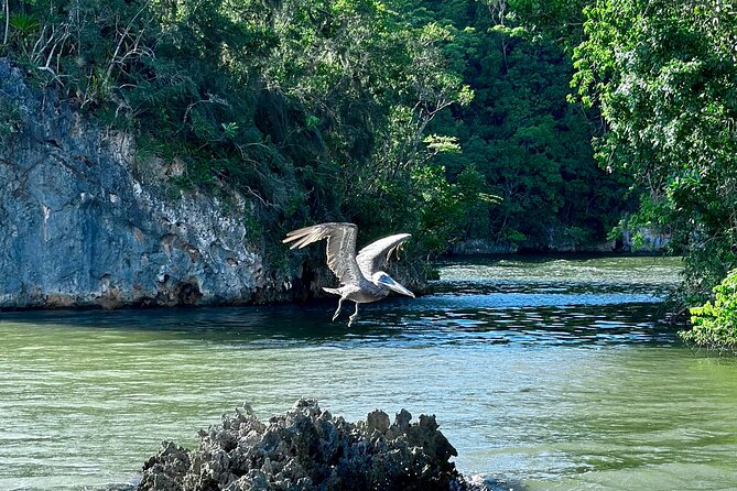 2in1: Los Haitises National Park + Yanigua Waterfall-SPA - Who will enjoy this most