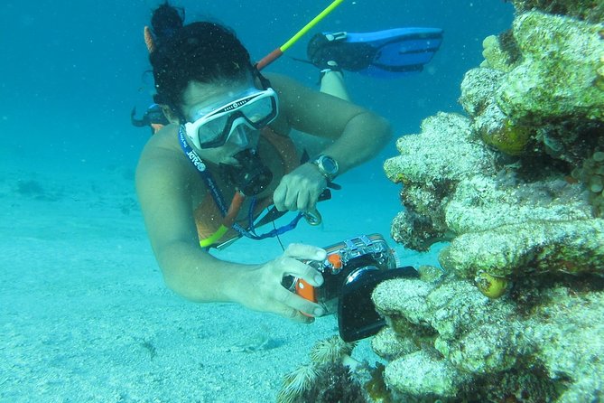 3 ADVENTURES: Sailing Catamaran Cruise - Hooka Diving - Snorkeling - Who will enjoy this cruise most?