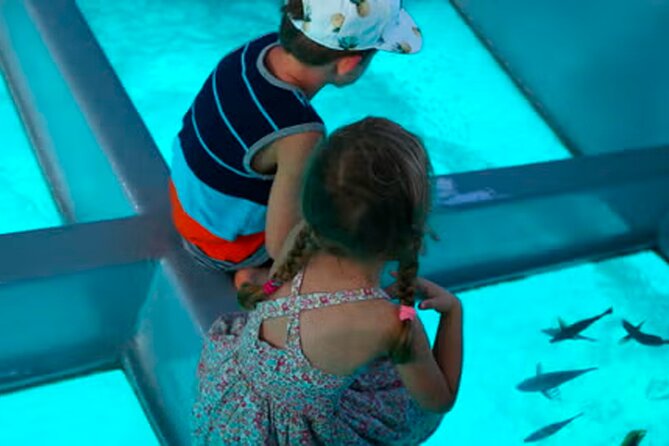 3 hrs Glass Boat Tour in Punta Cana - Key points to know before booking