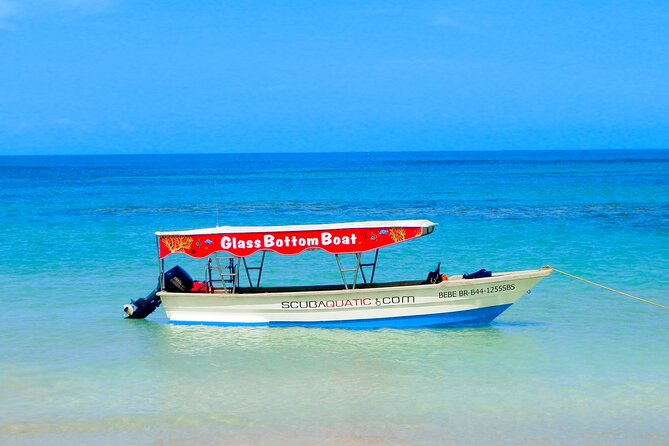 3 hrs Glass Boat Tour in Punta Cana - Two hours at the natural pool