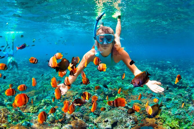 3 hrs Glass Boat Tour in Punta Cana - Pickup is included, but confirm it twice