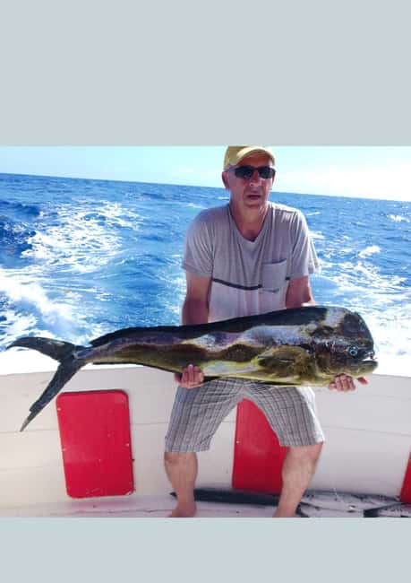 4 hour deep sea fishing experience from punta cana - Key points to know before booking