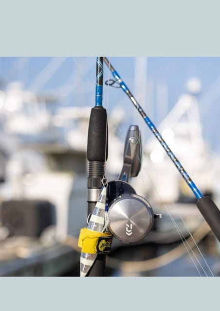 4 hour deep sea fishing experience from punta cana - Who will get the most from it