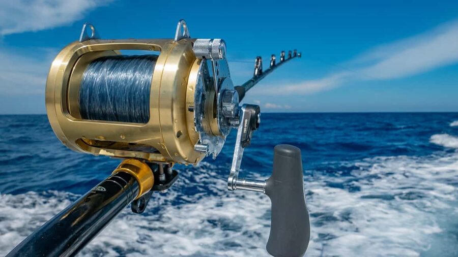 4 hour deep sea fishing experience from punta cana - From Punta Cana hotels to Cabeza de Toro