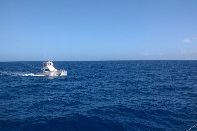 4 Hour Punta Cana Fishing Tour - Hotel pickup and the trip to the marina