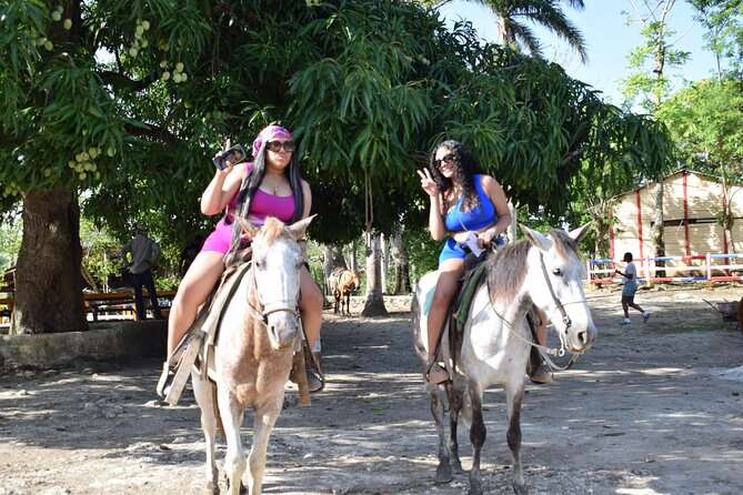 5 tours in 1 (Eco Farm/Horseback/City Tour/Buggy/Zipline) - Horseback riding through countryside and cocoa fields