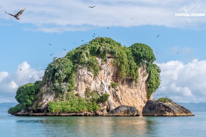 6-Day Private Tour between Bayahibe and Samana Bay - Day 4: Los Haitises by boat