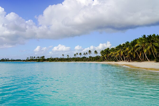 6 Hour Private Saona Island Tour with Snorkeling - Why the private boat changes the Saona experience