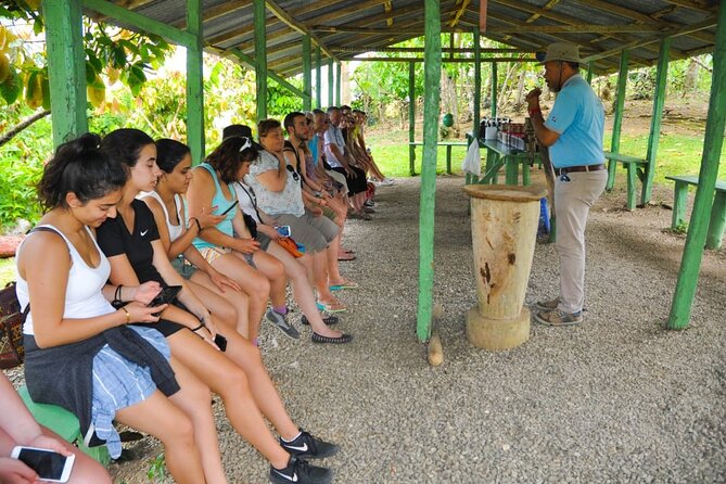 8-Hour Tour Enjoying the Dominican Culture Through the Countryside - Coffee, cocoa, chocolate, and a country house