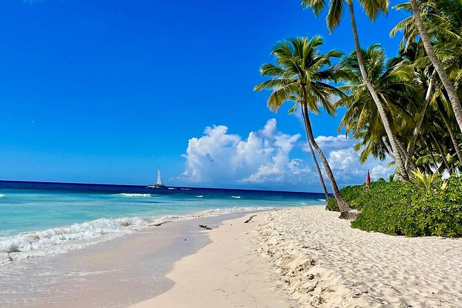 A Magical Day on Saona Island - Why Saona Island makes such a strong day trip