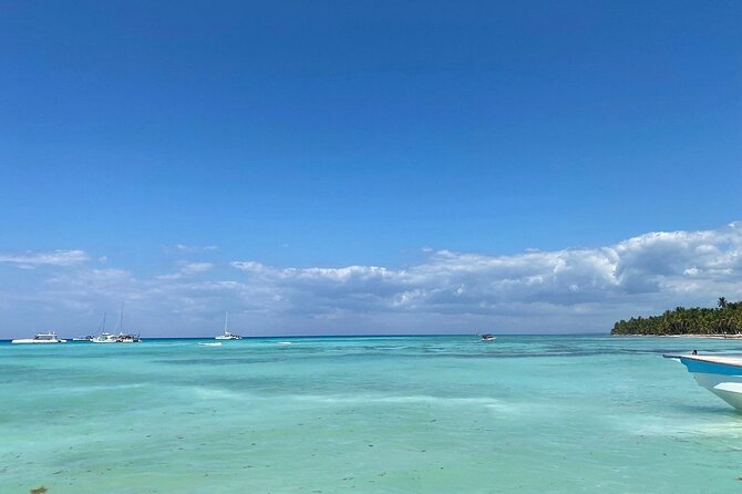A Magical Day on Saona Island - Dominican buffet lunch and open bar