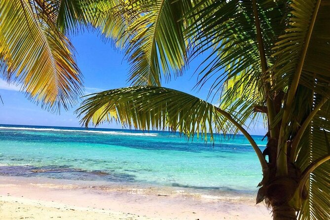 A Magical Day on Saona Island - The catamaran ride back to Bayahibe