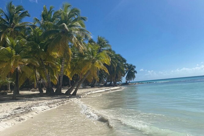 A Magical Day on Saona Island - The waist-deep natural pool stop