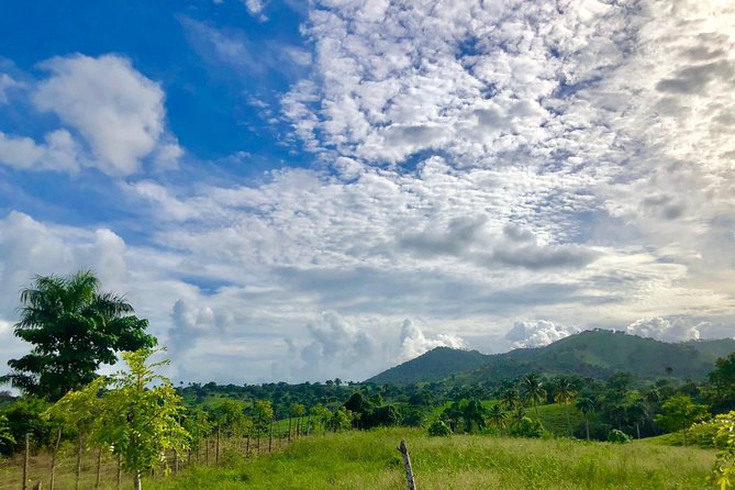 Adventure Bundle: Monkeyland, Ziplines & Buggies Punta Cana - Monkeyland and its friendly squirrel monkeys