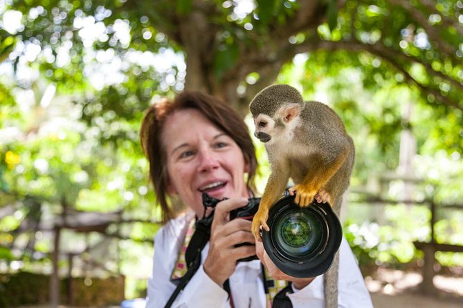 Adventure Bundle: Monkeyland, Ziplines & Buggies Punta Cana - Taking the wheel for the buggy ride