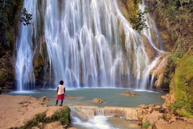 Adventure in the bay of samana and waterfall El limon from punta cana - Key points to know before booking