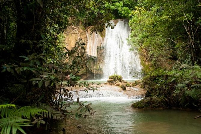 Adventure in the bay of samana and waterfall El limon from punta cana - Why Samaná makes a worthwhile day trip from Punta Cana