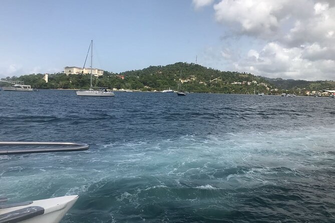 Adventure in the bay of samana and waterfall El limon from punta cana - Simple ways to prepare