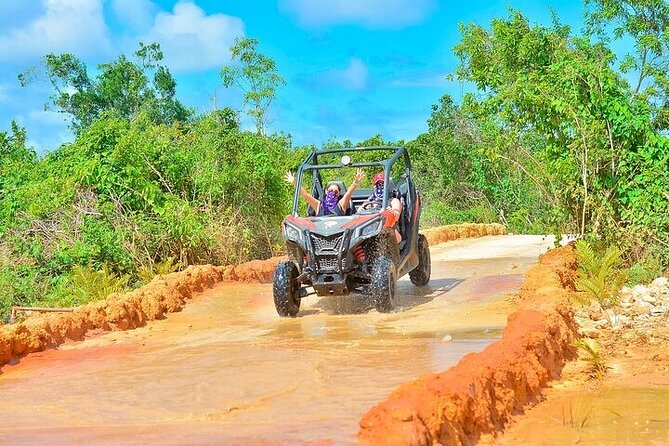 Adventure Tour con Buggies Ziplining Cenote y Taino Culture - Cenote Indigena Las Ondas brings you underground