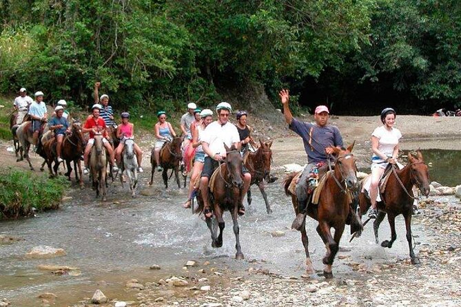 Amazing 3-Hour Horseback Riding at Puerto Plata with Pickup - From Puerto Plata roads to the horse ranch