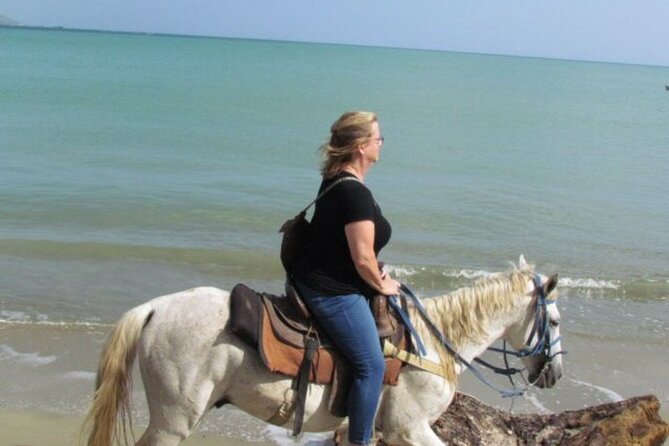 Amazing 3-Hour Horseback Riding at Puerto Plata with Pickup - Group size, guides, and family suitability