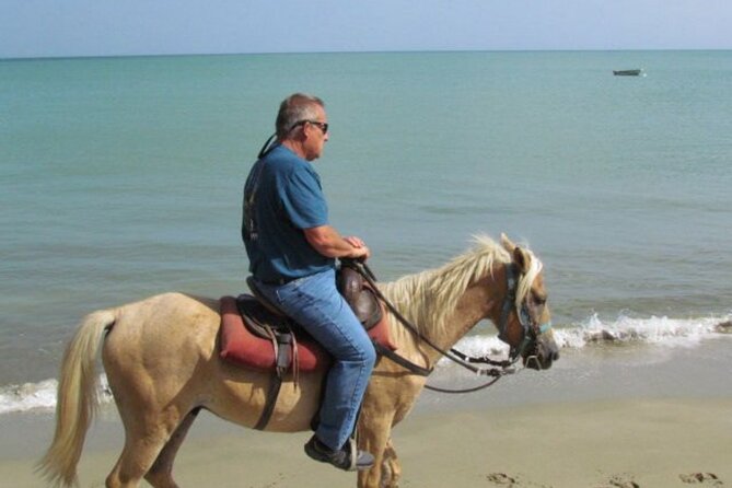 Amazing 3-Hour Horseback Riding at Puerto Plata with Pickup - What the $74.10 price really buys