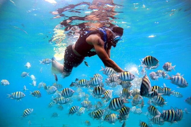 Amazing Paradise Island + Snorkeling-Mangrove Tour & Locale Food. - Estero Hondo brings mangroves and wildlife into the picture