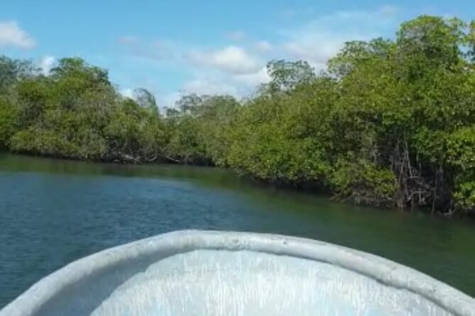 Amazing Paradise Island + Snorkeling-Mangrove Tour & Locale Food. - The countryside drive is part of the experience