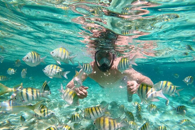 Amazing Paradise Island + Snorkeling-Mangrove Tour & Locale Food. - Is $85 a fair price for this day?