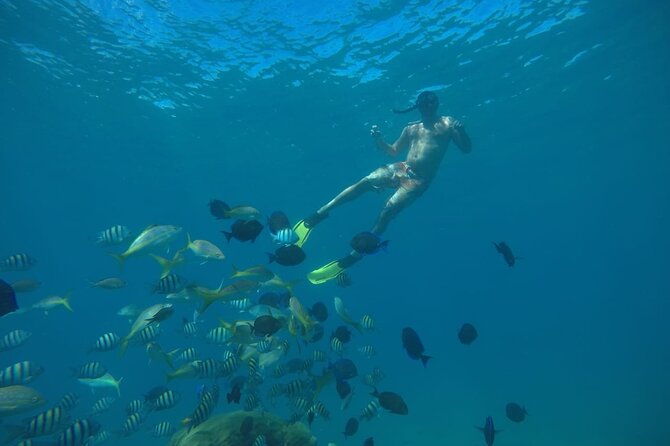 Amazing Paradise Island + Snorkeling-Mangrove Tour & Locale Food. - What to pack for a smoother day