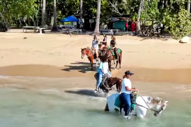 AMBER COVE-TAINO BAY Horses Beach Ride & City Sightseeing - Key points to know before you book