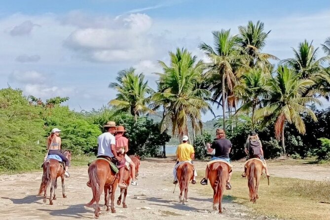 AMBER COVE-TAINO BAY Horses Beach Ride & City Sightseeing - Chocolate, fruit, and Mamajuana at Choc Lovers DR