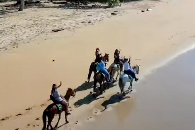 AMBER COVE-TAINO BAY Horses Beach Ride & City Sightseeing - Playa Teco Maimón and the horse ride