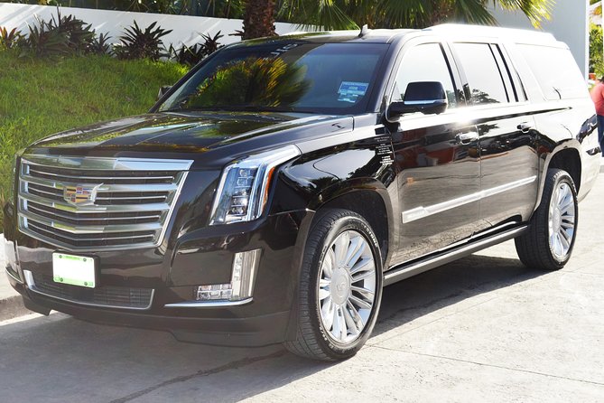 Arrival Luxury Transportation: Punta Cana International Airport to Hotels (1-5) - The Direct Journey to Your Hotel