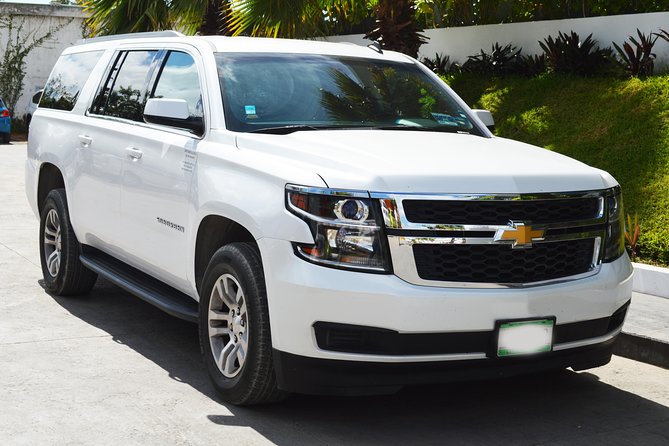 Arrival Luxury Transportation: Punta Cana International Airport to Hotels (1-5) - What $89.82 Buys Your Group