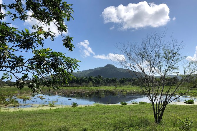 ATV Adventure - Pool, zip line, and tropical garden after the ride