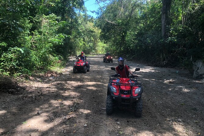 ATV N Zip: 8 Zip Lines plus ATV's - Friendly staff and a personal feel