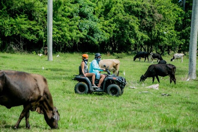 ATVs Fun Tour from Amber Cove and Taino Bay Puerto Plata - What $95 buys you