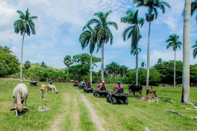 ATVs Fun Tour from Amber Cove and Taino Bay Puerto Plata - Port timing and cancellation details