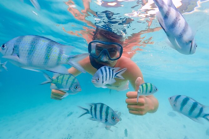 Bacardi Island Excursion with Catamaran, Beach and Lunch - Key points before you book